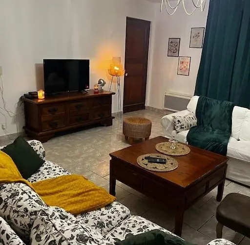 Petit Paradis Dans L'aveyron 圣让迪布吕耶勒